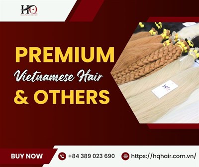 What Makes Premium Vietnamese Hair Different From Regular Human Hair Extensions?